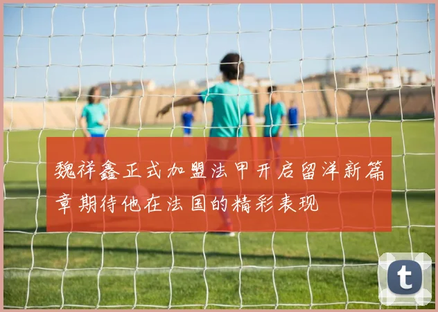 魏祥鑫正式加盟法甲开启留洋新篇章期待他在法国的精彩表现