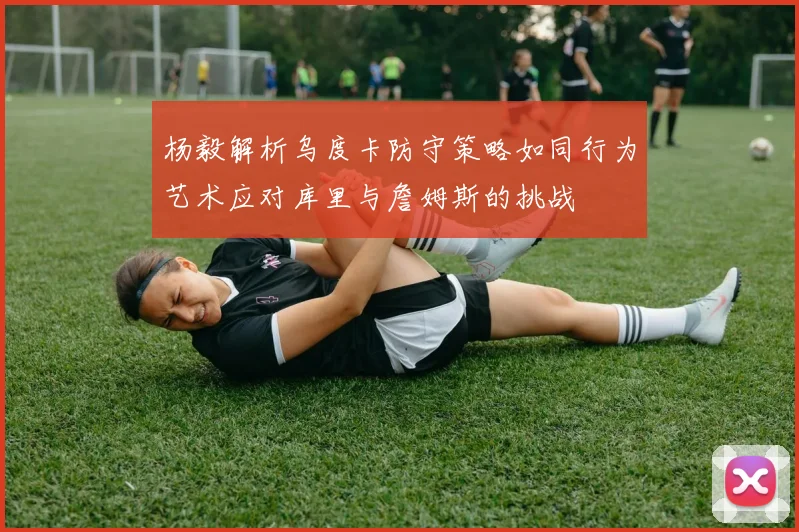 杨毅解析乌度卡防守策略如同行为艺术应对库里与詹姆斯的挑战